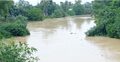 ভারতীয় উজানে ওঠানামা করছে মুহুরী নদীর পানি