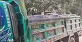 ছিনতাই করা মাছের পিকআপ উদ্ধার, ২ লাখ টাকার মাছ নষ্ট