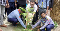 ভোলায় বিচ্ছিন্ন চরে ৩ হাজার গাছ লাগালেন ইউপি চেয়ারম্যান