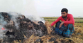 কৃষকের এক বিঘা জমির ধান পুড়িয়ে দিলো দুর্বৃত্তরা
