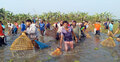 নাটোরের ভেদ্রার বিলে মাছ ধরার উৎসব