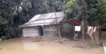 মৌলভীবাজারে বন্যায় চার হাজার ঘর ক্ষতিগ্রস্ত