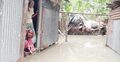বন্যায় বগুড়ার ১৭ ইউনিয়ন প্লাবিত
