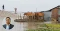বন্যায় গবাদিপশুর সুরক্ষায় করণীয়