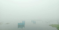 হঠাৎ কুয়াশার চাদরে ঢাকা ফরিদপুরের জনপদ