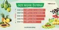 এক যুগে দেশে ফলের উৎপাদন বেড়েছে ৫০ লাখ টন