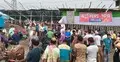 জমজমাট গাবতলীর কোরবানির পশুর হাট