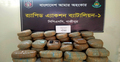 গাজীপুরে ১০৯ কেজি গাঁজা জব্দ, কারবারি আটক