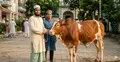 দুই ভাই এক নামে শরিক হয়ে কোরবানি করতে পারবেন?