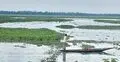 নিষিদ্ধ জালে অস্তিত্ব সংকটে দেশি মাছ