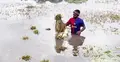 কিশোরগঞ্জে বৃষ্টি না থাকলেও শঙ্কা কাটেনি কৃষকের