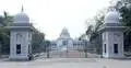 হাম প্রাদুর্ভাবে ব্যর্থতা অনুসন্ধানে কমিশন গঠন কেন নয়, হাইকোর্টের রুল