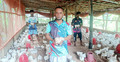 মুরগির খামারে মোশারেফের মাসে আয় লাখ টাকা