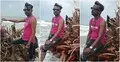 হিরো আলম বউ খুঁজতে কক্সবাজারে