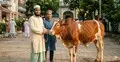 কোরবানি