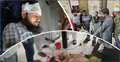 সড়কে উল্টে গেল রয়েল পরিবহনের বাস, আহত ২৩