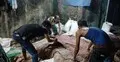 আড়াই হাজার টাকা গাড়ি ভাড়ায় আনা চামড়া বিক্রি ৩ হাজারে
