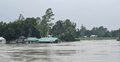 যমুনার পানি বৃদ্ধি অব্যাহত, নতুন নতুন এলাকা প্লাবিত