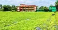 সংকট নিরসনে চার দফা দাবি, ডিসি অফিস ঘেরাওয়ের হুঁশিয়ারি