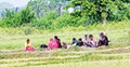 সীমান্ত থেকে সেই ১০ জনকে সরিয়ে নিলো বিএসএফ