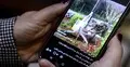 লেবাননে যিশুর মূর্তি ভাঙলেন ইসরায়েলি সেনা, সমালোচনার ঝড়