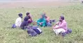 ঝিনাইদহে ৬ জনকে পুশ-ইনের চেষ্টা বিএসএফের, বিজিবির বাধায় ব্যর্থ