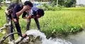 মধ্য আষাঢ়েও বৃষ্টির দেখা নেই, দাবদাহে পুড়ছে যশোর