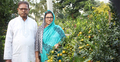 কমলা চাষে শিক্ষক দম্পতির লাখ টাকা আয়