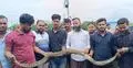 কৃষকের জালে আটকা পড়লো ৮ ফুট লম্বা অজগর