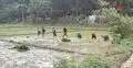 বন্যায় খাগড়াছড়িতে ক্ষতিগ্রস্ত ৮ হাজার কৃষক, ক্ষতি ১২ কোটি টাকা