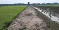 কৃষকের ‘কপাল পুড়িয়ে’ ভেকু দিয়ে খাল খনন