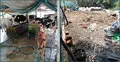 অস্বাস্থ্যকর পরিবেশে গরুর খামার, গুনতে হলো জরিমানা