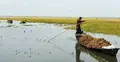 কিশোরগঞ্জে আবারো বৃষ্টি, বেড়েছে নদ-নদীর পানি