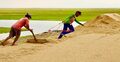 দুর্যোগ-দরপতনে দিশাহারা কৃষক