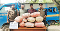 কুড়িগ্রামে ৭৫ কেজি গাঁজাসহ গ্রেফতার ৩