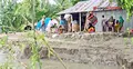 দুই সপ্তাহে তিস্তায় বিলীন ২৫ বাড়ি, দিশেহারা শতাধিক পরিবার