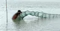 অবৈধ জাল-বৈদ্যুতিক শকে কমছে দেশীয় মাছ