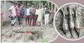 লক্ষ্মীপুরে মাটির নিচে মিললো ৩ মর্টার শেল