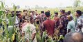 লালমনিরহাটে ৩৩ জনকে পুশইনের চেষ্টা বিএসএফের, রুখে দিলো বিজিবি