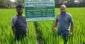 চ্যালেঞ্জ মোকাবিলায় ধানের জাত ও প্রযুক্তি উদ্ভাবন কেন জরুরি