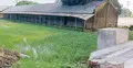 ভূতুড়ে কলেজে দেড় কোটি টাকার বরাদ্দ