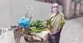 দুই দশকের সংগ্রাম, ভ্যান ঠেলে সবজি বিক্রি করে চলছেন খাদিজা