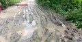 মাগুরায় রাস্তার বেহাল দশা, দুর্ভোগে এলাকাবাসী