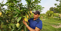 রপ্তানিযোগ্য আম উৎপাদনে আরও একধাপ এগোলো চাঁপাইনবাবগঞ্জ