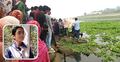 নিখোঁজের দুদিন পর নদীতে মিললো স্কুলছাত্রীর মরদেহ