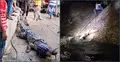 অবশেষে খালে ধরা পড়লো বিশাল সেই কুমির