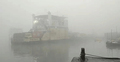 ঘন কুয়াশার কারণে পাটুরিয়া-দৌলতদিয়া ফেরি চলাচল বন্ধ