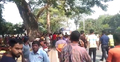 মেহেরপুরে বাসচাপায় পল্লিচিকিৎসক নিহত