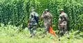 মেহেরপুর সীমান্তে রাস্তা পাকাকরণ ঘিরে উত্তেজনা