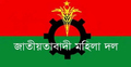জাতীয়তাবাদী মহিলা দলে আরও যারা দায়িত্ব পেলেন